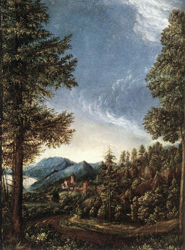 ALTDORFER, Albrecht Danubian Landscape g